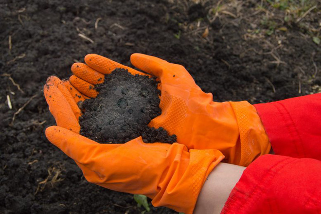 Discovered 'hidden bomb' in the soil: industrial chemicals have the ability to affect the immune system and fertility in humans Picture 1
