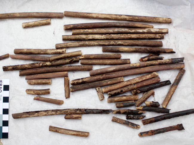 Discovered the 15th - 16th century remains of archers in the Altai Republic landfill Picture 5