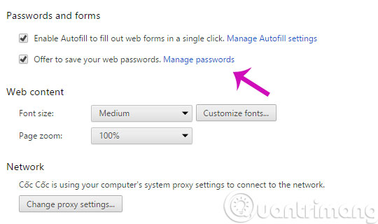 Display saved passwords on web browsers Picture 14