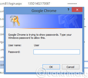 Display saved passwords on web browsers Picture 5