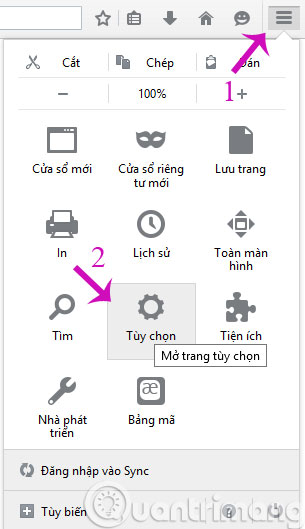 Display saved passwords on web browsers Picture 7
