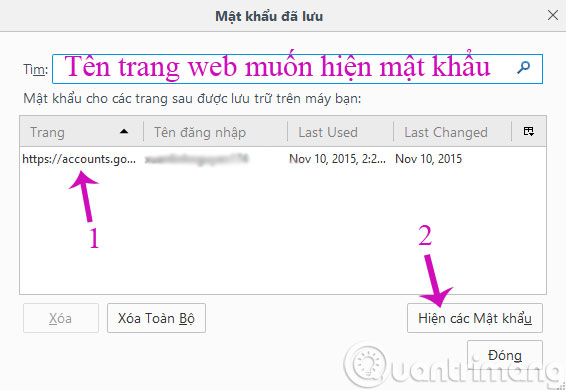 Display saved passwords on web browsers Picture 9