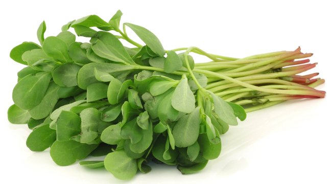 Do not confuse the vegetables as weeds, you will be shocked to know its miraculous use! Picture 4