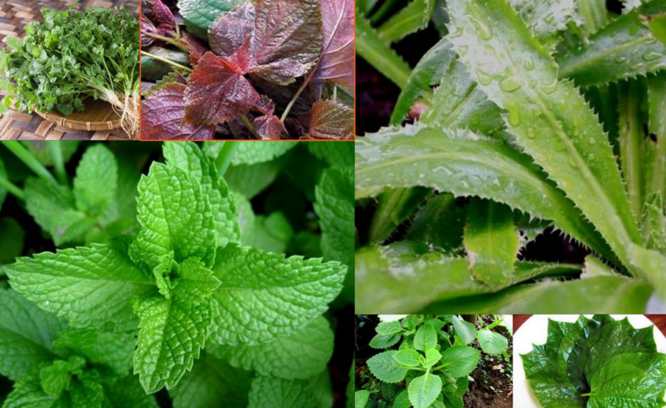 Do not store these foods in the refrigerator Picture 8