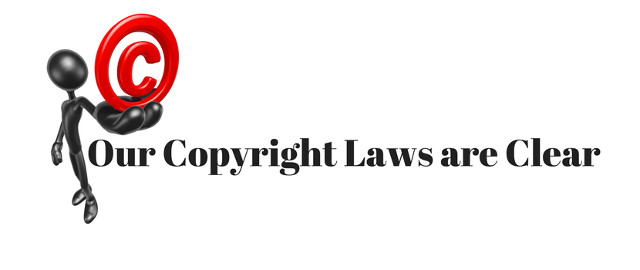 Do you know how to prevent website theft? Picture 2