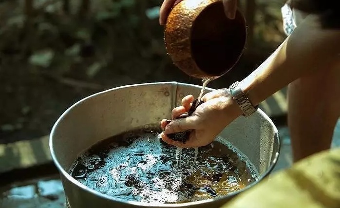 Does shampooing with locust hair grow longer and thicker? Picture 8