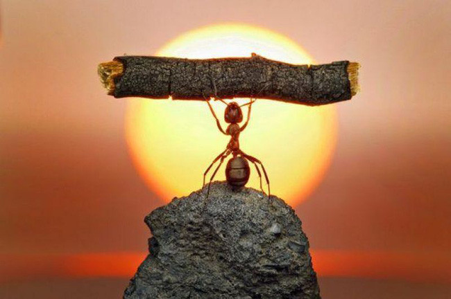 Don't be sad, skating college is not as scary as you think Picture 5