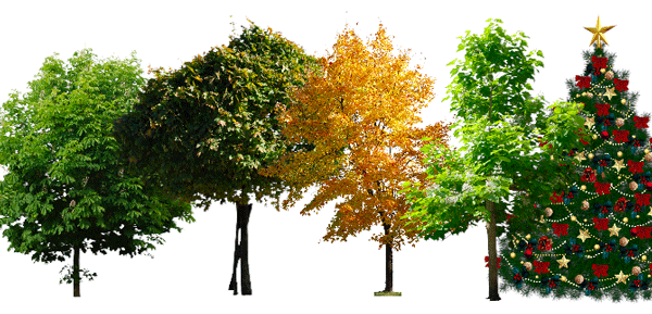 Don't miss out on these 11 beautiful free brushes for GIMP Picture 3