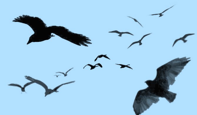 Don't miss out on these 11 beautiful free brushes for GIMP Picture 8