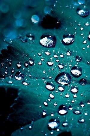 Download 3D wallpapers for your phone with a wide variety of themes Picture 30