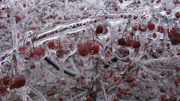 Download a full set of 200 beautiful, varied themes for your computer Picture 10