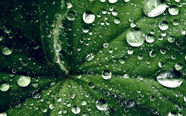 Download a set of desktop wallpapers with a 2K quality theme Picture 13