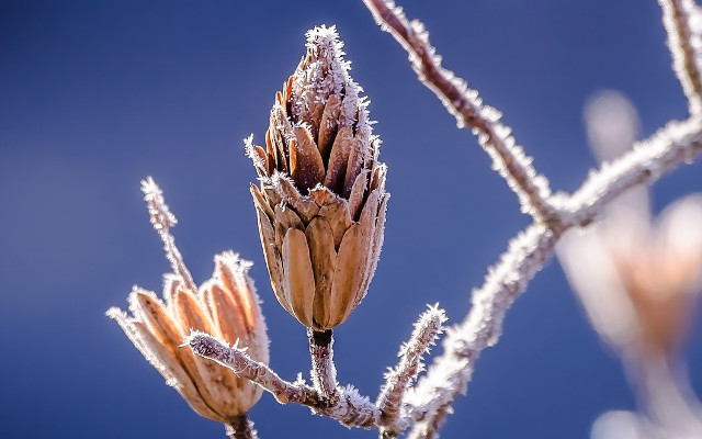 Download a set of desktop wallpapers with a 2K quality theme Picture 15