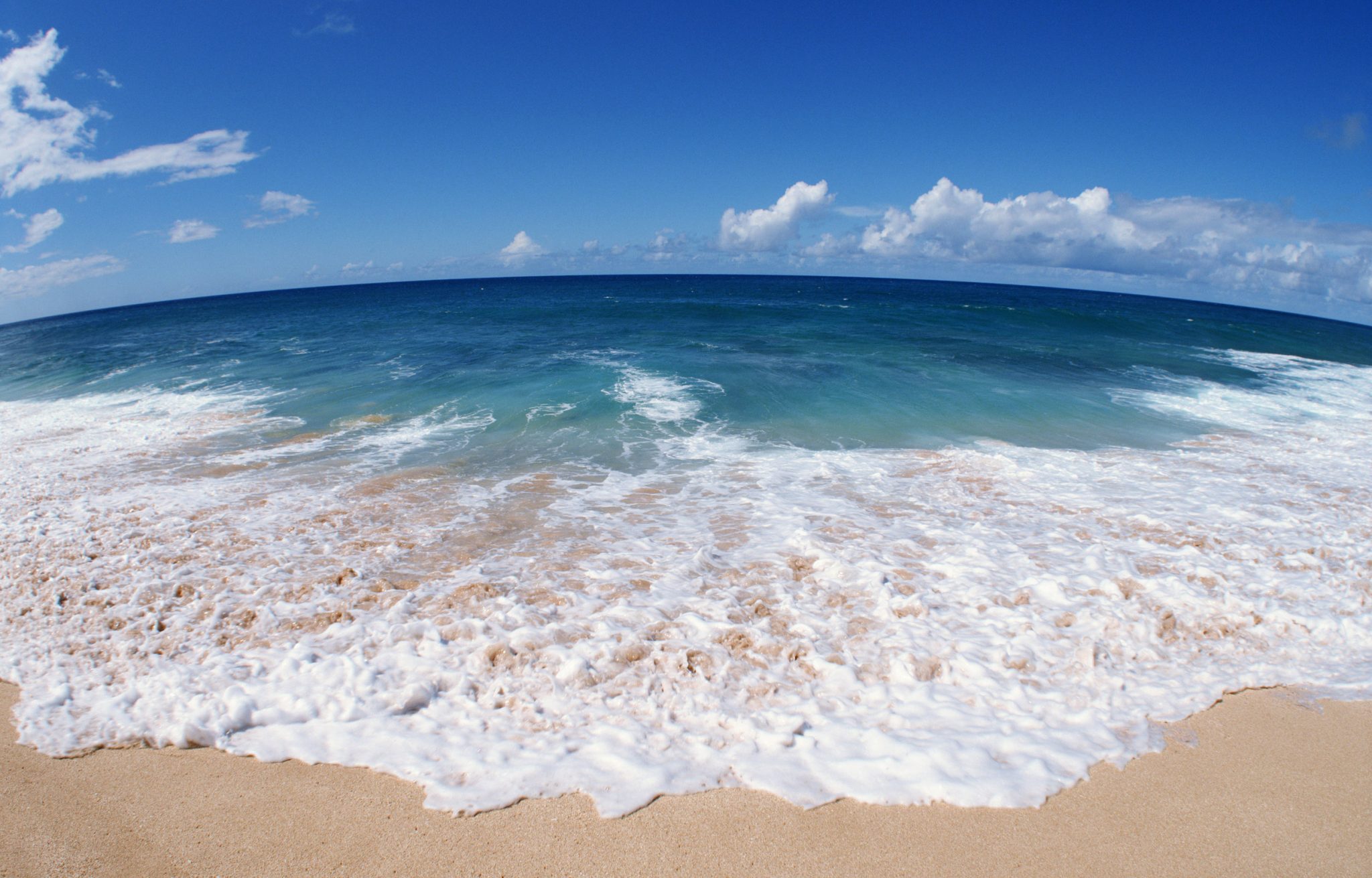 Download a set of marine theme wallpapers for Desktop Picture 15