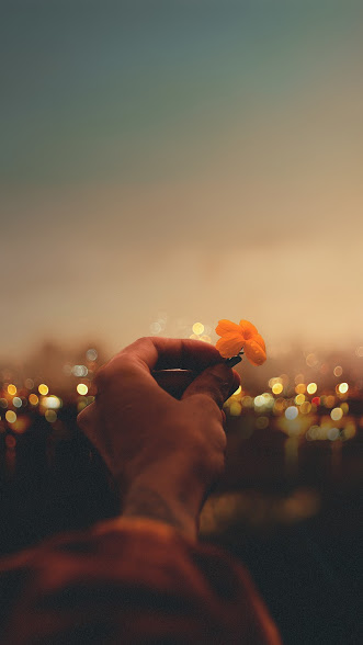 Download a set of wallpapers for your phone with different themes Picture 22