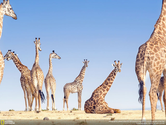 Download a unique set of wallpapers about the landscape provided by National Geographic Picture 19