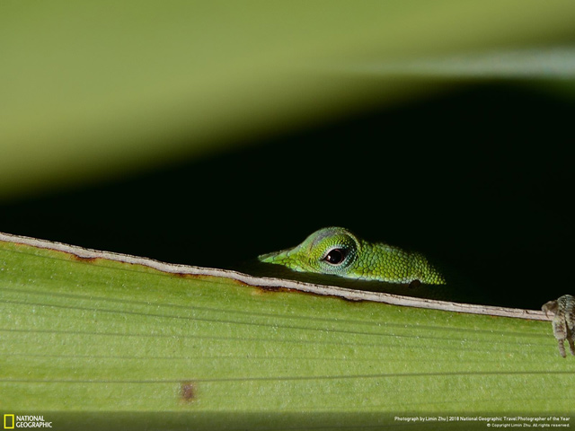 Download a unique set of wallpapers about the landscape provided by National Geographic Picture 23