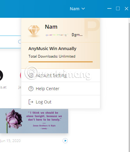 Download AnyMusic $ 25.99 music downloader for free Picture 4