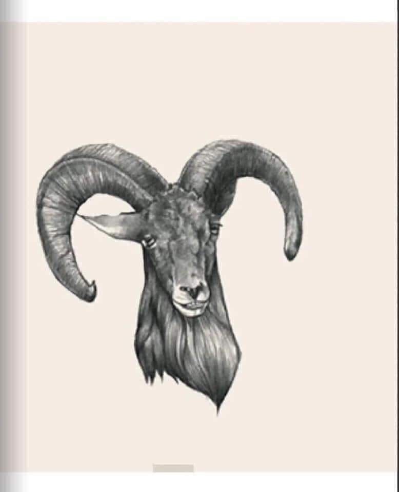 Download App Animal 4D + for free - Create Animal Animal 4D Cards app on your phone Picture 12