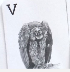 Download App Animal 4D + for free - Create Animal Animal 4D Cards app on your phone Picture 20