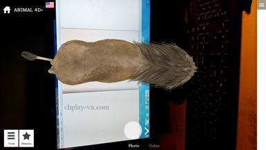 Download App Animal 4D + for free - Create Animal Animal 4D Cards app on your phone Picture 9