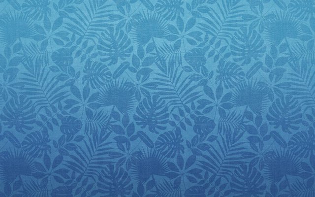 Download iOS 13, iPadOS and Mac Catalina wallpapers Picture 12