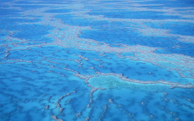 Download iOS 13, iPadOS and Mac Catalina wallpapers Picture 33