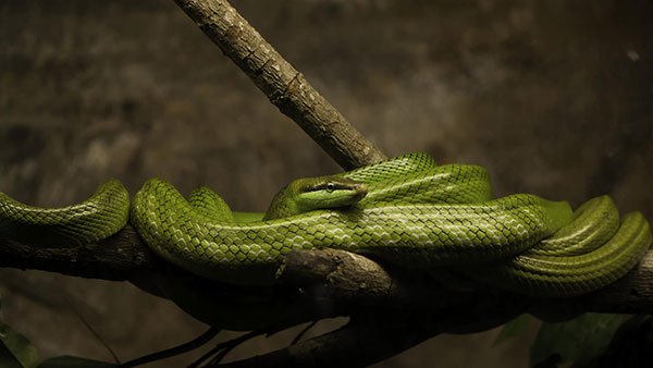 Download now 200 wallpapers with many different themes for your computer Picture 17