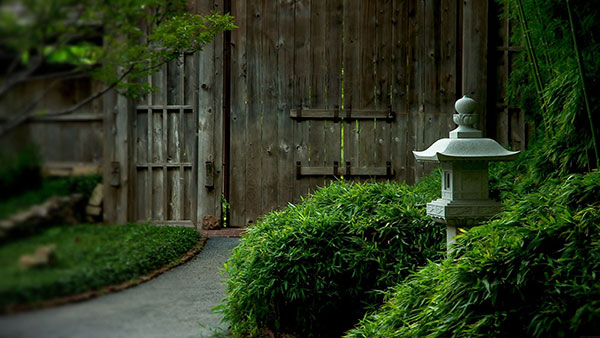 Download now 200 wallpapers with many different themes for your computer Picture 36