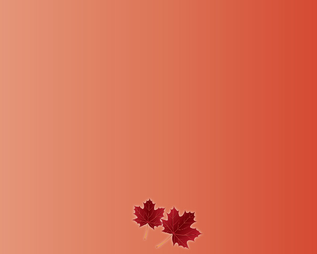 Download now a beautiful, professional PowerPoint wallpaper set Picture 14