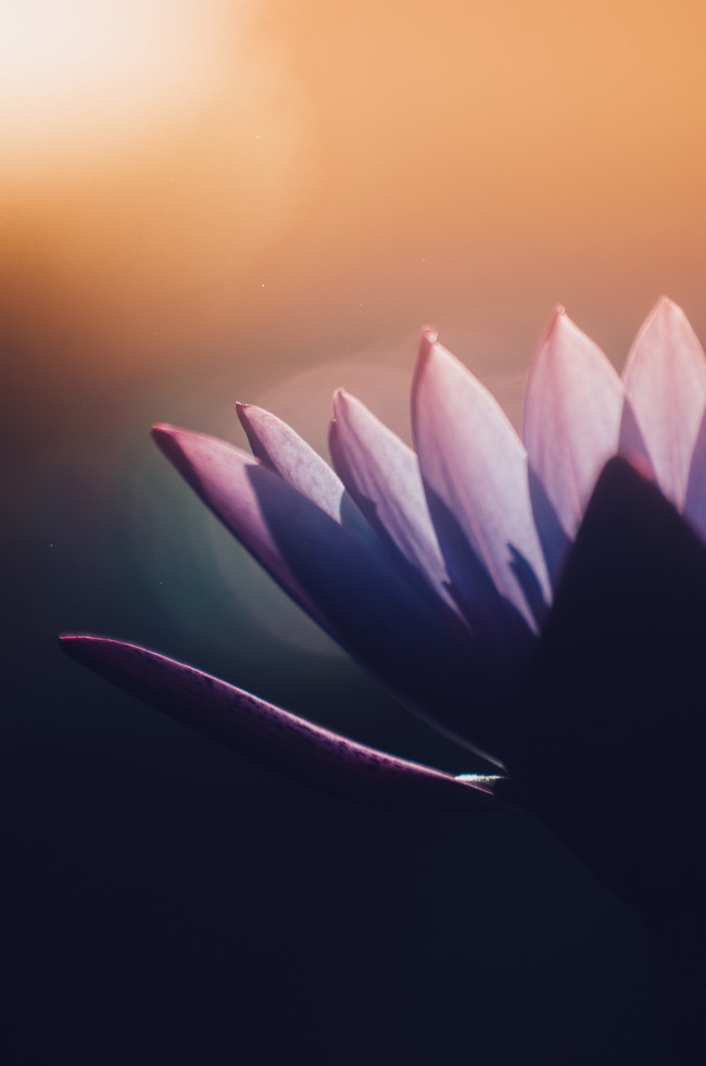 Download now a collection of high quality wallpapers for smartphones Picture 5