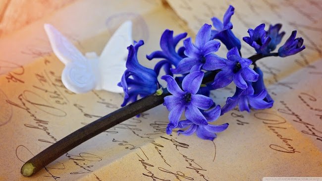 Download now a simple but charming Vintage photo wallpaper theme for your computer Picture 20