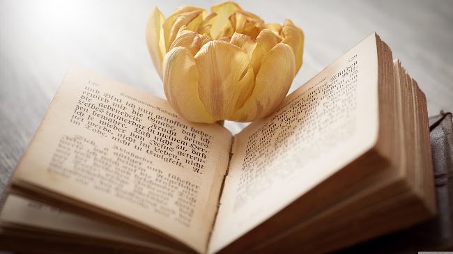 Download now a simple but charming Vintage photo wallpaper theme for your computer Picture 31