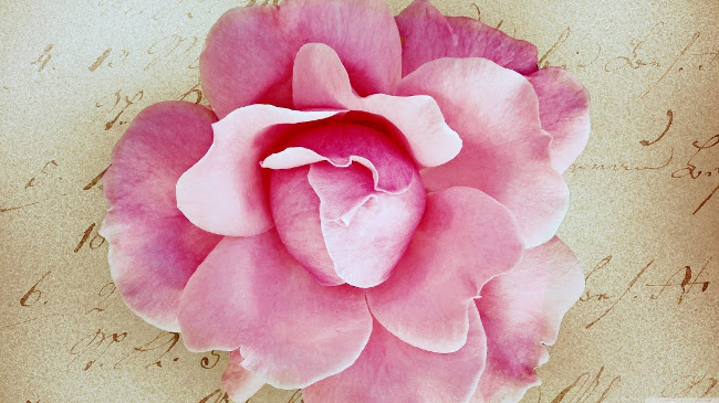 Download now a simple but charming Vintage photo wallpaper theme for your computer Picture 33