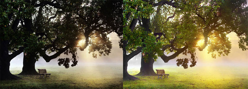 Download professional HDR image processing software HDR Projects 4 is worth $ 99, is free Picture 8