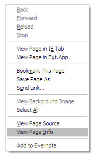 Download the Flash file using the browser Picture 2