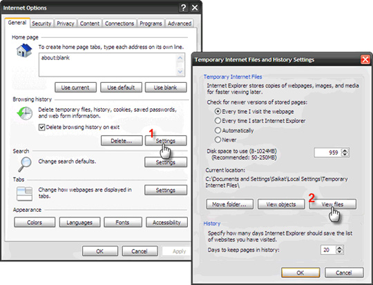 Download the Flash file using the browser Picture 4