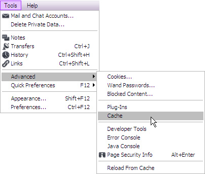 Download the Flash file using the browser Picture 6