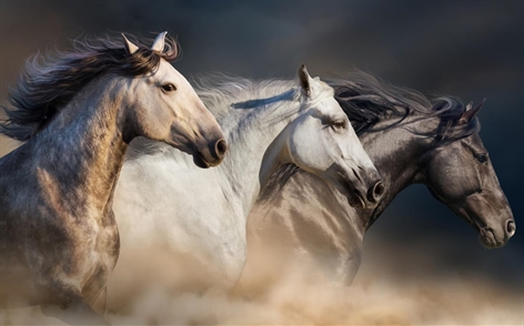 Download the new themes for Windows 10 now Picture 11