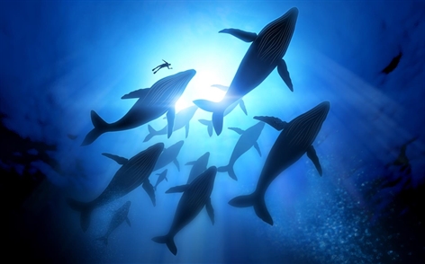 Download the new themes for Windows 10 now Picture 15