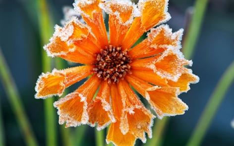 Download the new themes for Windows 10 now Picture 24