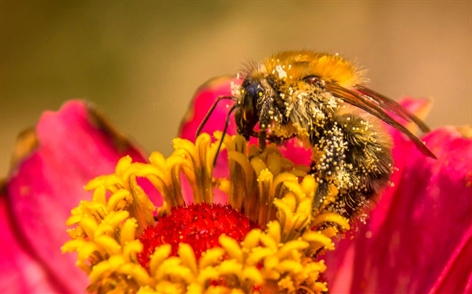 Download the new themes for Windows 10 now Picture 26