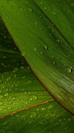 Download the 'super quality' default wallpaper set on Bphone 3 Picture 11