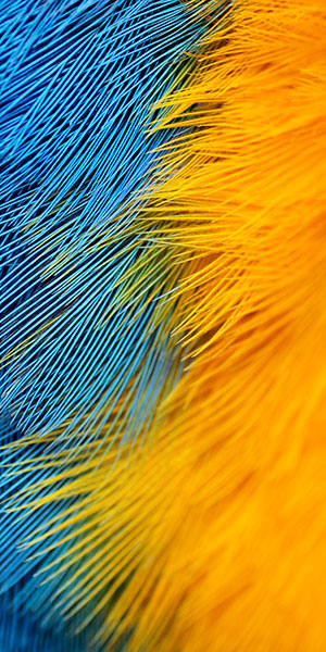 Download the 'super quality' default wallpaper set on Bphone 3 Picture 24