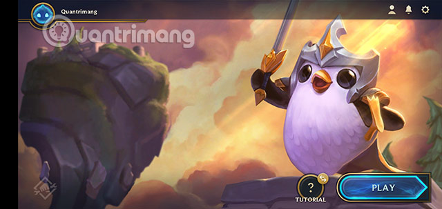 DTCL Mobile needs to improve in the near future Picture 4