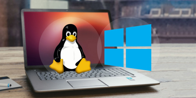 Dual boot (Dual boot) with virtual machine: Which one should you choose? Picture 1