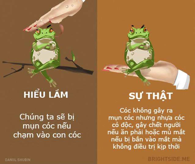 Dumb fish and 11 misunderstandings about animals Picture 12