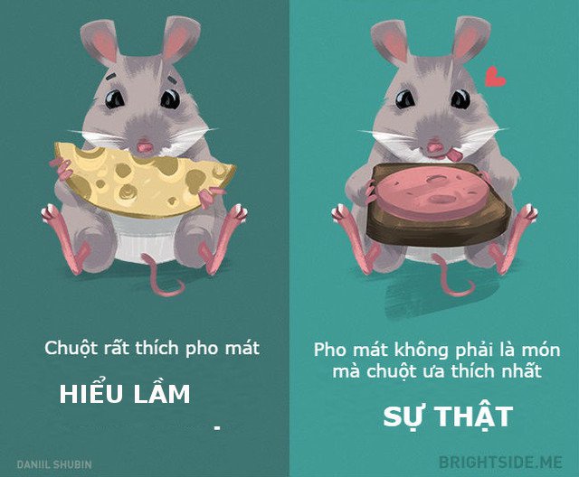 Dumb fish and 11 misunderstandings about animals Picture 6