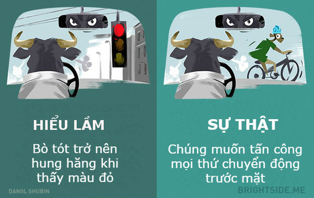 Dumb fish and 11 misunderstandings about animals Picture 9