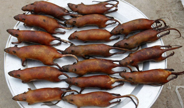 Eat healthy mouse meat, is it good? Picture 2